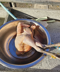 ���۸��᡿�Լ������ļ����е�׬��