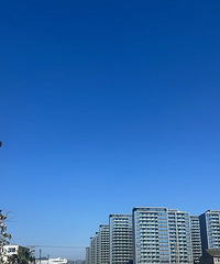 ��˵�������ؼҼһ�����Ǩ�ֵ��׷��ü��������