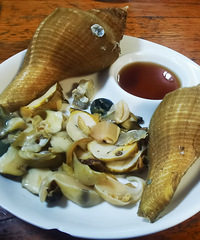 һ�뺣����������������Ϻ̫�������ʵ�üë��