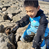 �Ϻ��ڵ���