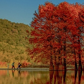 ���������