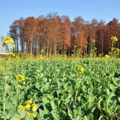 ��������Ͳ˻�