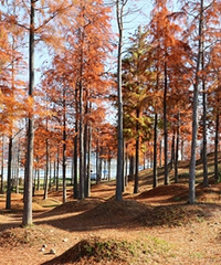 �������������Խ��ԽƯ����