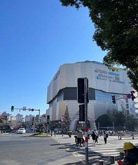 ���۸��᡿�ع�2025����һ�����������ջ���ʲô