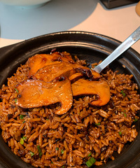 �����ʳ�ײ������˸����Բ���