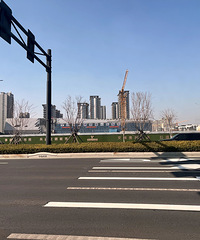 ɽķ���е����½�չ