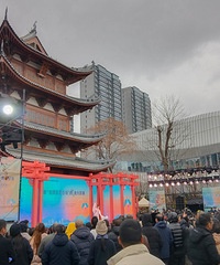 Ԫ�������μǺ��µ��ٺ�֮�е�չ��