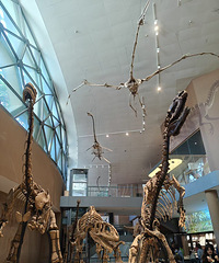 �Ϻ���Ȼ����ݣ���һ�ο�����ô�����