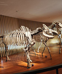 �Ϻ���Ȼ����ݣ���һ�ο�����ô�����