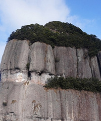 ���ָ����У����ɾӷ����һ�����Ż���