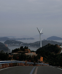 ���ǽڼ��գ�̨��һ�Ź�·�Լ��컨��