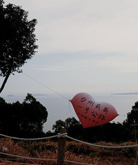 ���ǽڼ��գ�̨��һ�Ź�·�Լ��컨��