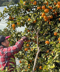 ����������ժ����ٵ��ٺ��޺������������棬�������ر��