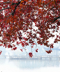 ����ع飡�㽭���������ת�ۣ���һ�������Ҳ����Ϣ��