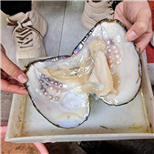 ����һ�ο���