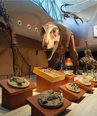 ��һ�ο���ô�����