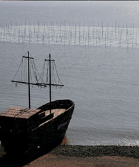 ̨��һ�Ź�·�Լ��컨��