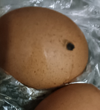 ��˵�Խ��ԽС