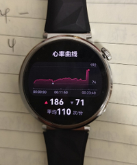 ��ΪGT5���ʳ���