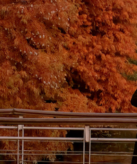 ��������ʱ