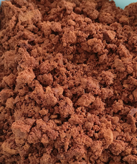 ������ǿ�