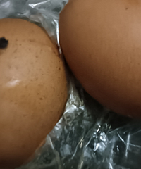 ��˵�Խ��ԽС