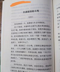 һ�����Ӷ��꼶������д500�֣�