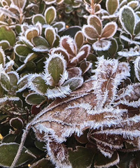 ���ø�����㽭��ͦס����ҹ�²��15�棬��������һ�ܣ�����