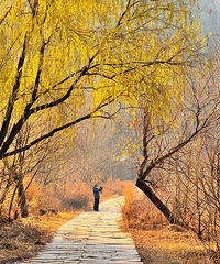 ���ж���ζ��(��̶ˮ��)