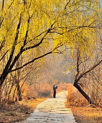 ���ж���ζ��