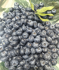 [����]����޶�ר����ݮ����ݮ�������ӵȹ��ˮ������