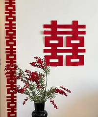 �鷿����Խ��Խ��Ƭ