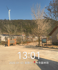 [ͽ��]1200 �װ׷��������̨���ٵĹ�·��ҡҡ��׹����