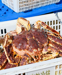 ̨�ݸ۴��������ӭ��2026���״�������з