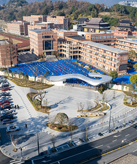 ����ͨ���������֡���Ԫ�ţ�ȫ������