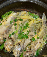 ��ҟhɰ�����ǲ����� ÿһֻ�h��Ϻ�������������Եó�������