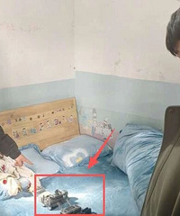 ����Ȥ����Υ����̨��һ���ӱ��������������ѣ�������ص�Ҫ����