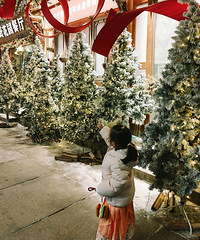 ����ȹ�ӣ�����������޷����������������ж��캺������