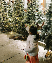 ���������ж��������ĺ�������