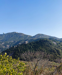 �������뺣����