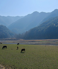 ͽ����᮴壬��С֥�����ֳ�������ˮ��һ·��