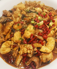 �������ʲô����ʮ���ϵ���������