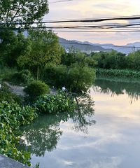 ΪʲôŮ����Խ��Խ�࣬Խ��Խ������