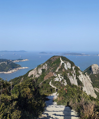 �������뺣����