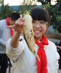 ·������ţ��������԰ʳ�ľ��̳����������