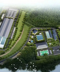 19.5���˽����棡̨�����ˮ����������׿���