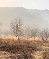 ���ж���ζ��(��̶ˮ��)