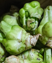 ������˵�ͷ��