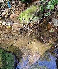 ̨��һ��ɽȪˮ�����Ϻ����������Ŷ�ҲҪ�ӣ�