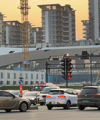 ̨��ɽķ���й����ڼ�����ܶ������